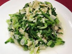 鸡毛菜百叶丝-老吉士酒家(天平路店)