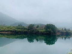 -龙坞茶村