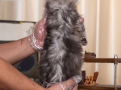 -小猫来了·猫舍(红山六九七九店)