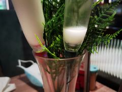 -探窝·竹笙椰子鸡(杨箕店)