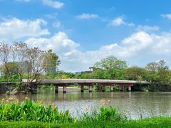 -顺峰山公园