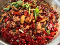 -食神又名厕所兔