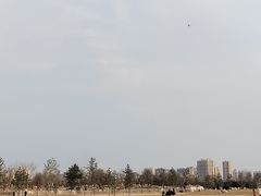 -汉长安城未央宫国家考古遗址公园