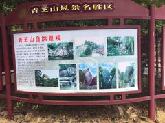 -青芝山风景名胜区