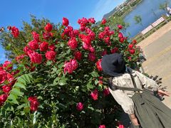 -永定河休闲森林公园