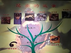 -上海昆虫博物馆