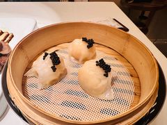 -觅唐MITONG(鸟巢店)