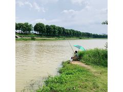 -风云岭森林公园
