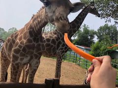 -大连森林动物园