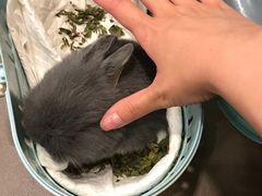 -雨林宠物医院 非犬猫异宠专科