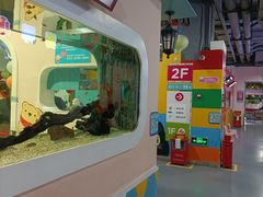 -顺德南宏海立方海洋公园