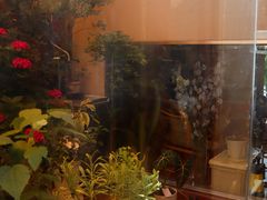 -About Bistro關於·泰式家庭料理