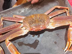-松鱼亭·和牛烧肉(协鑫广场店)