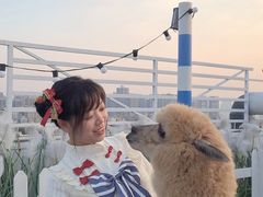 -Blue Concept Cafe&Farm·關於藍