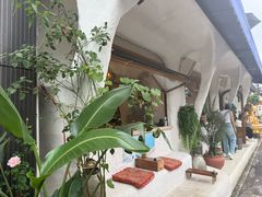 -Sirena海妖日咖夜酒