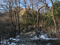 -北京鹫峰国家森林公园