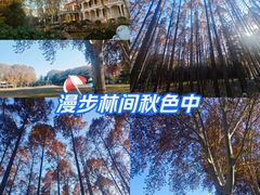 -河南省黄河迎宾馆