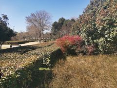 -郑州植物园