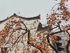 -篁岭景区