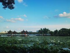 -长春市南湖公园