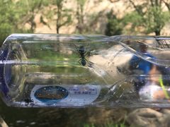 -碓臼峪自然风景区