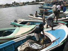 -尼甘布海鲜市场