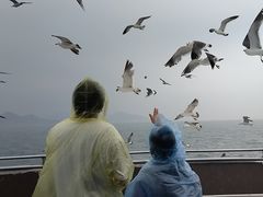 -海驴岛(荣成市)
