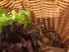 -安又胖韩国烤肉
