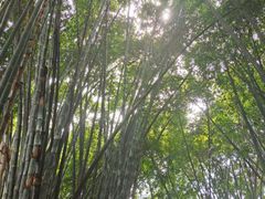 -望江楼公园
