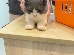-瑞派康怡24h宠物医院·犬猫医疗中心·微创绝育(瑞景分院)