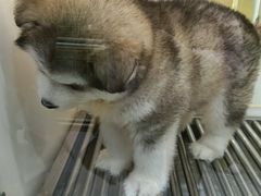 -观音桥步行街