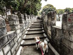 -松山湖梦幻百花洲