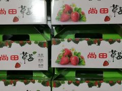 -尚田草莓姑娘白草莓采摘基地