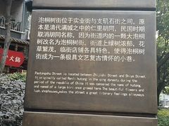 -泡桐树街