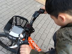 -道路口单车爱瓦士dahon大行