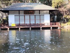 -新洲生态园