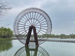 -苏州太湖国家湿地公园