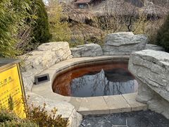 -大连金石滩绿发温泉假日酒店