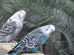 -南宫五洲植物乐园