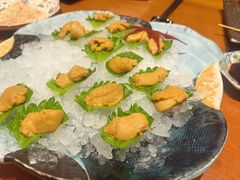 -月龍吟(朝龙汇店)