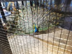 -酷嗒动物文化乐园(cutezoo西溪乐天城店)