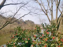 -重庆园博园