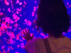 -波塞冬旅游度假区