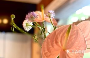 Pink Palm
