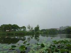 -新江湾城公园