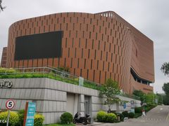 -中国宋庆龄青少年科技文化交流中心