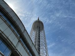 -富斯特索道