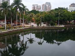 -金砂公园