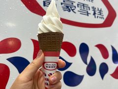 -富豪雪糕车流动点(尖沙咀店)