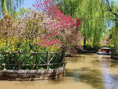 -南汇桃花村